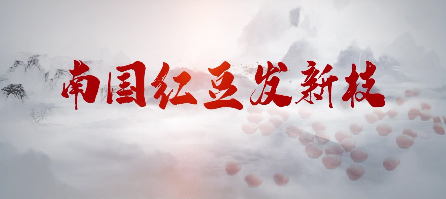 南国菠菜担保网发新枝