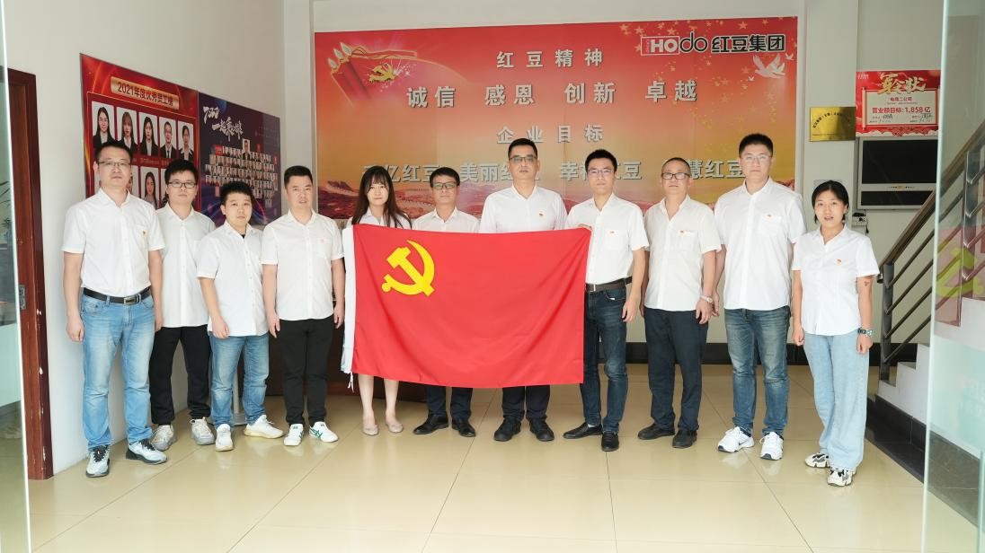 菠菜担保网居家公司电子商务二公司党支部1